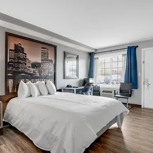  Hotel Executive Stati Uniti